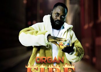 Organ Fire Mp3 Download
