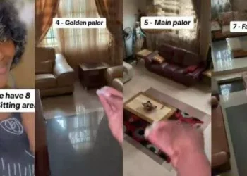 Ent: Lady shows off 8 sitting rooms in their house