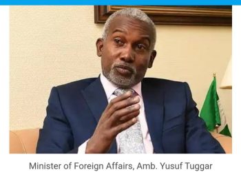 News: OIC Selects Nigeria As Special Delegate To Halt Gaza Conflict 30 News: OIC Selects Nigeria As Special Delegate To Halt Gaza Conflict