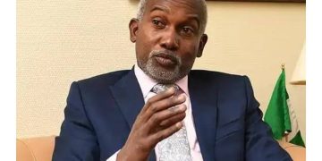 News: OIC Selects Nigeria As Special Delegate To Halt Gaza Conflict