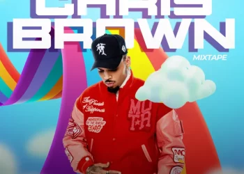 DJ Selex Best of Chris Brown Mixtape Mp3 Download