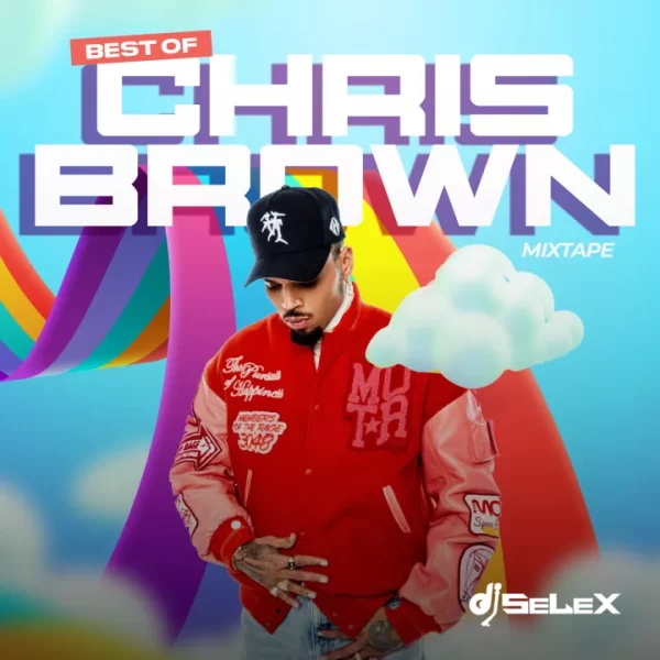 DJ Selex Best of Chris Brown Mixtape Mp3 Download 